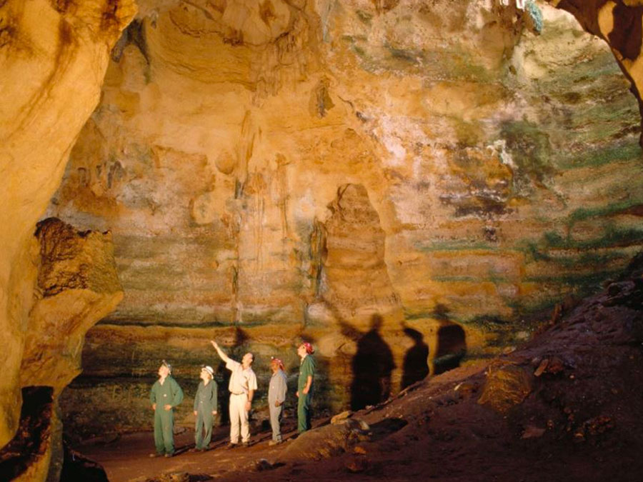 Naracoorte-Caves